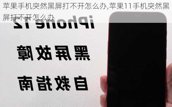 苹果手机突然黑屏打不开怎么办,苹果11手机突然黑屏打不开怎么办