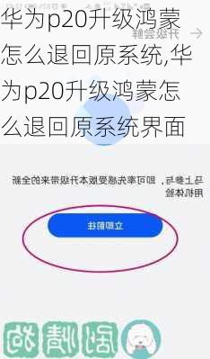 华为p20升级鸿蒙怎么退回原系统,华为p20升级鸿蒙怎么退回原系统界面