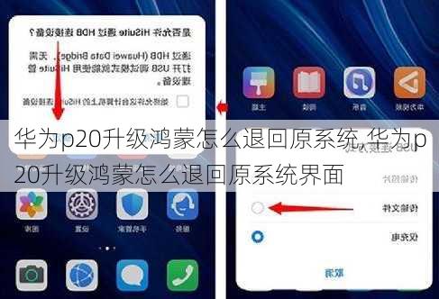 华为p20升级鸿蒙怎么退回原系统,华为p20升级鸿蒙怎么退回原系统界面