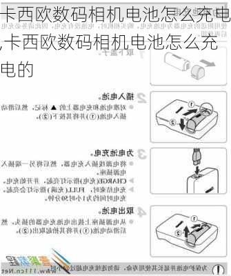 卡西欧数码相机电池怎么充电,卡西欧数码相机电池怎么充电的