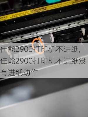 佳能2900打印机不进纸,佳能2900打印机不进纸没有进纸动作