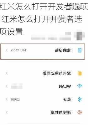 红米怎么打开开发者选项,红米怎么打开开发者选项设置