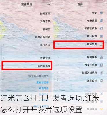 红米怎么打开开发者选项,红米怎么打开开发者选项设置