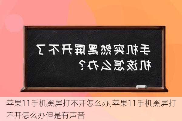 苹果11手机黑屏打不开怎么办,苹果11手机黑屏打不开怎么办但是有声音