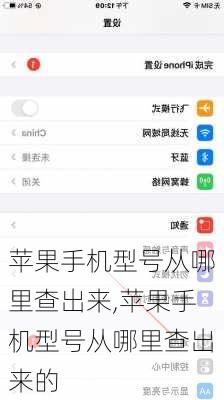 苹果手机型号从哪里查出来,苹果手机型号从哪里查出来的