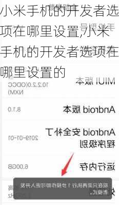 小米手机的开发者选项在哪里设置,小米手机的开发者选项在哪里设置的