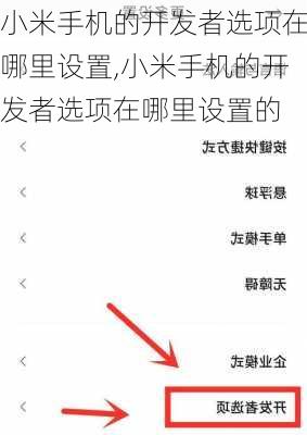 小米手机的开发者选项在哪里设置,小米手机的开发者选项在哪里设置的