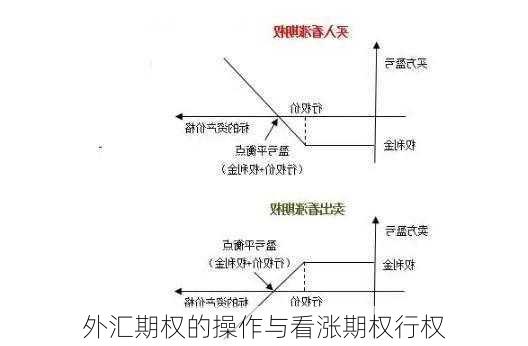 外汇期权的操作与看涨期权行权