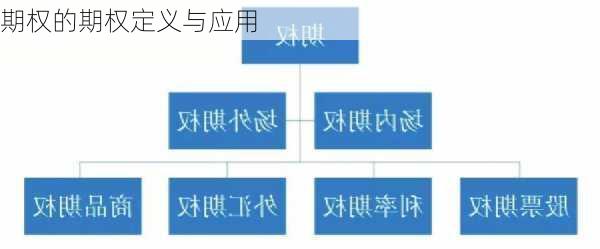 期权的期权定义与应用