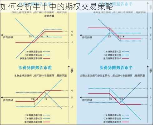 如何分析牛市中的期权交易策略