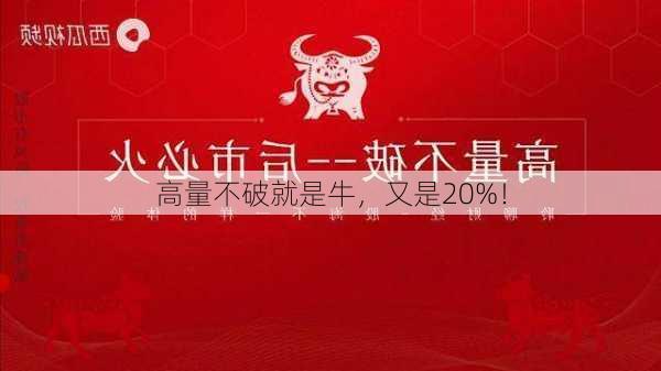 高量不破就是牛，又是20%！