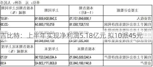 吉比特：上半年实现净利润5.18亿元 拟10派45元