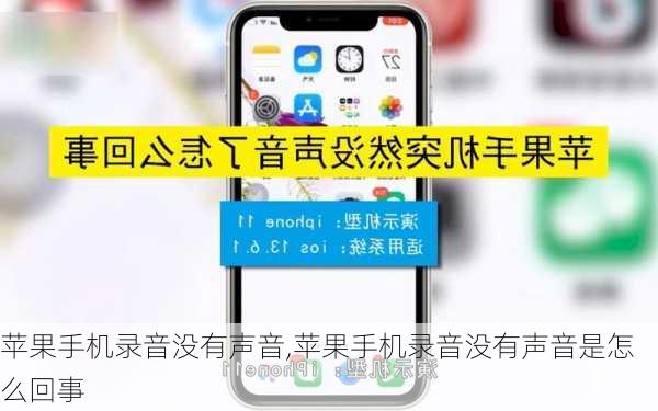 苹果手机录音没有声音,苹果手机录音没有声音是怎么回事