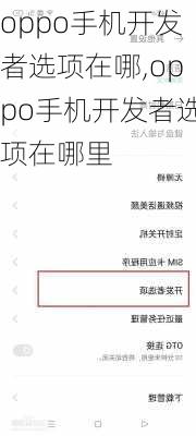 oppo手机开发者选项在哪,oppo手机开发者选项在哪里