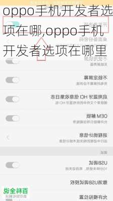 oppo手机开发者选项在哪,oppo手机开发者选项在哪里