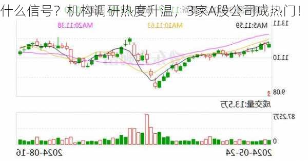 什么信号？机构调研热度升温，3家A股公司成热门！