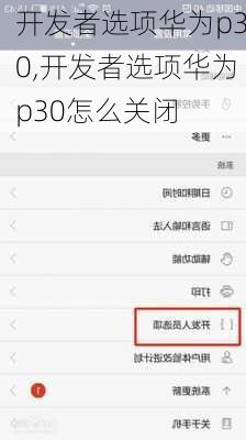 开发者选项华为p30,开发者选项华为p30怎么关闭