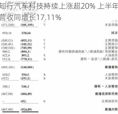 知行汽车科技持续上涨超20% 上半年营收同增长17.11%