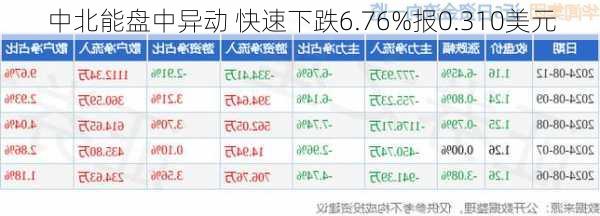 中北能盘中异动 快速下跌6.76%报0.310美元