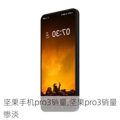 坚果手机pro3销量,坚果pro3销量惨淡