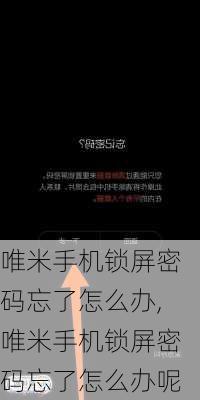 唯米手机锁屏密码忘了怎么办,唯米手机锁屏密码忘了怎么办呢