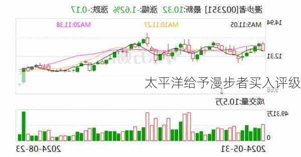 太平洋给予漫步者买入评级