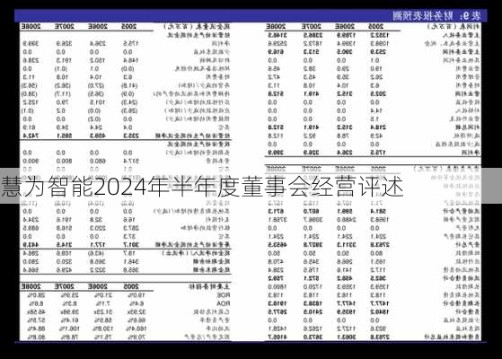 慧为智能2024年半年度董事会经营评述