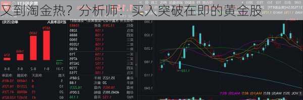 又到淘金热？分析师：买入突破在即的黄金股