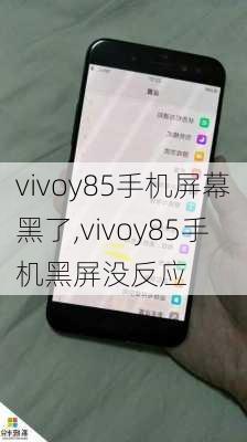 vivoy85手机屏幕黑了,vivoy85手机黑屏没反应