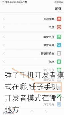 锤子手机开发者模式在哪,锤子手机开发者模式在哪个地方