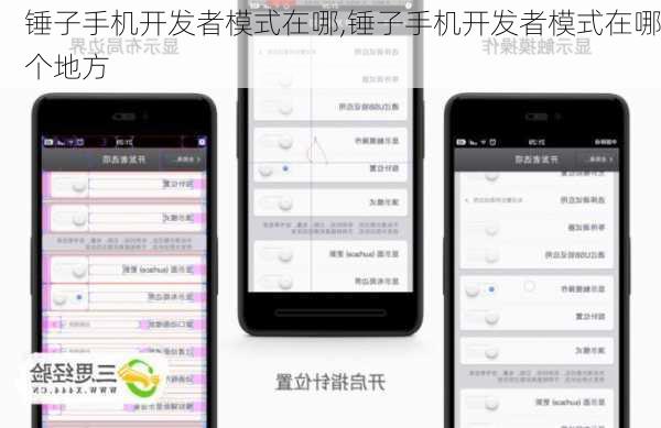 锤子手机开发者模式在哪,锤子手机开发者模式在哪个地方