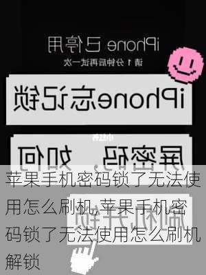 苹果手机密码锁了无法使用怎么刷机,苹果手机密码锁了无法使用怎么刷机解锁