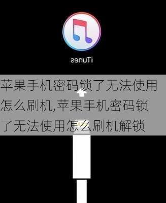 苹果手机密码锁了无法使用怎么刷机,苹果手机密码锁了无法使用怎么刷机解锁