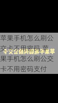 苹果手机怎么刷公交卡不用密码,苹果手机怎么刷公交卡不用密码支付