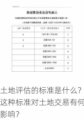 土地评估的标准是什么？这种标准对土地交易有何影响？