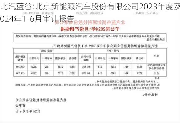 北汽蓝谷:北京新能源汽车股份有限公司2023年度及2024年1-6月审计报告