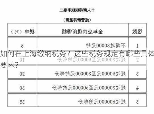 如何在上海缴纳税务？这些税务规定有哪些具体要求？