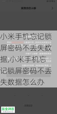 小米手机忘记锁屏密码不丢失数据,小米手机忘记锁屏密码不丢失数据怎么办