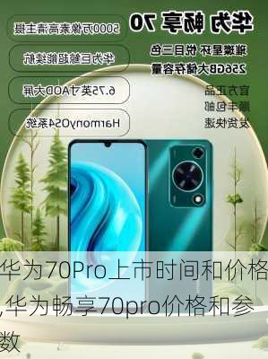 华为70Pro上市时间和价格,华为畅享70pro价格和参数