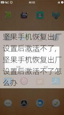 坚果手机恢复出厂设置后激活不了,坚果手机恢复出厂设置后激活不了怎么办