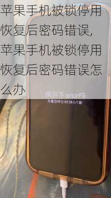 苹果手机被锁停用恢复后密码错误,苹果手机被锁停用恢复后密码错误怎么办