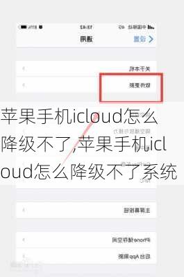 苹果手机icloud怎么降级不了,苹果手机icloud怎么降级不了系统