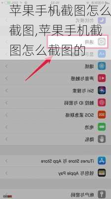 苹果手机截图怎么截图,苹果手机截图怎么截图的