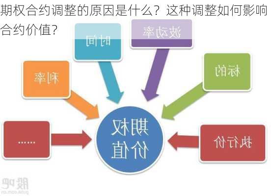 期权合约调整的原因是什么？这种调整如何影响合约价值？