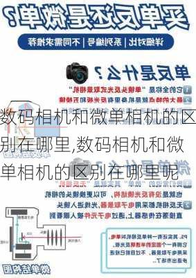 数码相机和微单相机的区别在哪里,数码相机和微单相机的区别在哪里呢