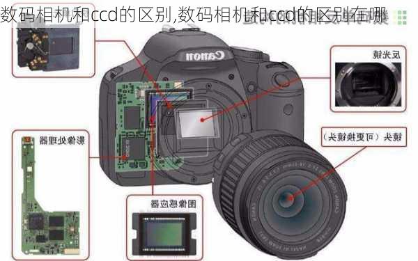 数码相机和ccd的区别,数码相机和ccd的区别在哪