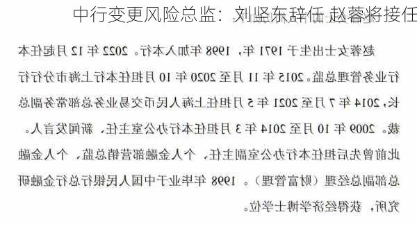 中行变更风险总监：刘坚东辞任 赵蓉将接任