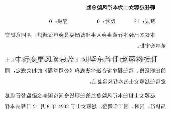 中行变更风险总监：刘坚东辞任 赵蓉将接任