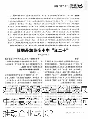 如何理解设立在企业发展中的意义？这种设立如何推动企业成长？