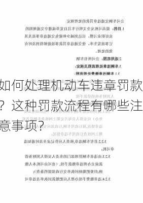 如何处理机动车违章罚款？这种罚款流程有哪些注意事项？